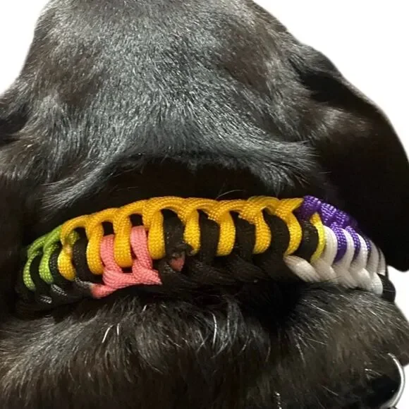 Handmade Paracord Pride Dog Collar Cobra Weave Rainbow LGBTQ Pet Collar