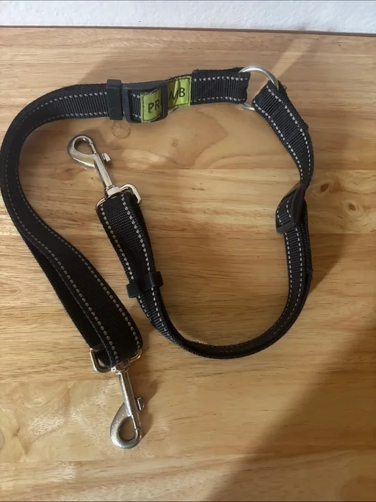 Black Reflective Dual-Clip Dog Leash