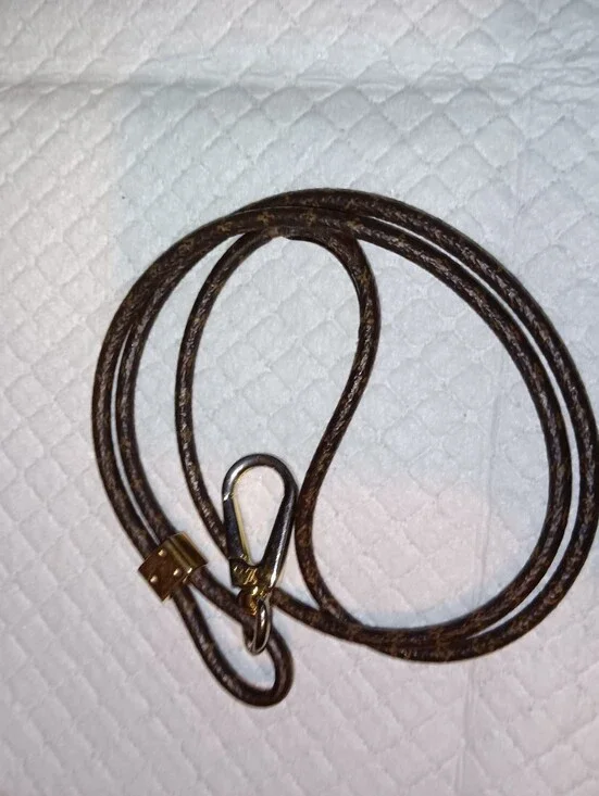 Louis Vuitton Monogram Crossbody Dog Leash