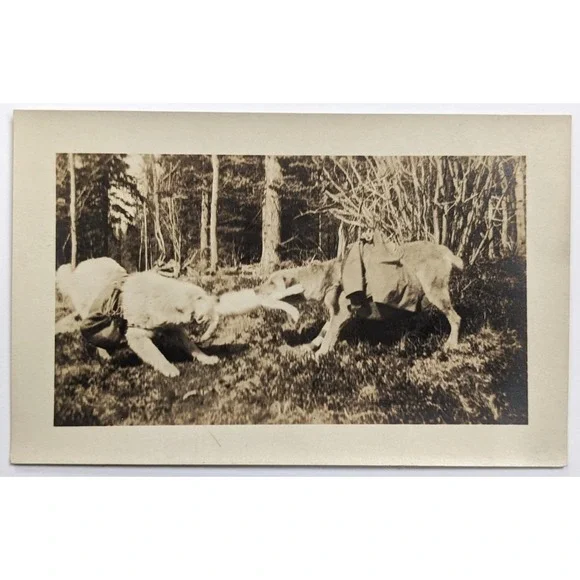 Canada‎ The Tug of War Pack Dogs Wearing Harness Playing w/ Toy/Pelt c1910s RPPC