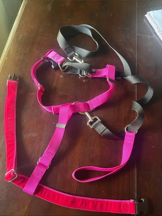 Adjustable Pink and Black Dog Harness with Matching Pink Leash
