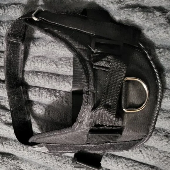 Black Dog Harness Sz M