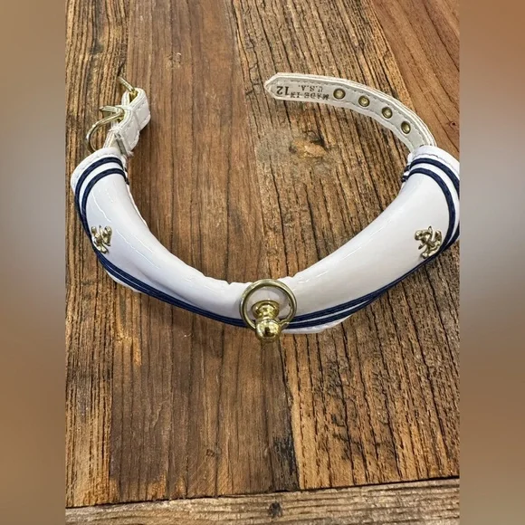White and Blue Dog Collar with Gold Accents