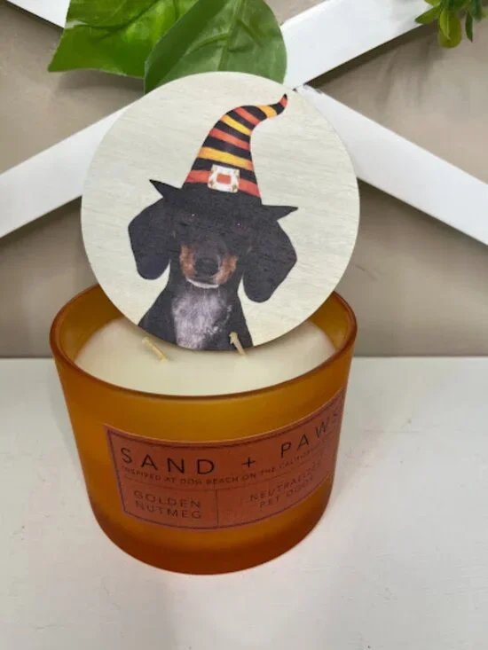 Sand and Paws 2 wick candle with cute Halloween Dachshund