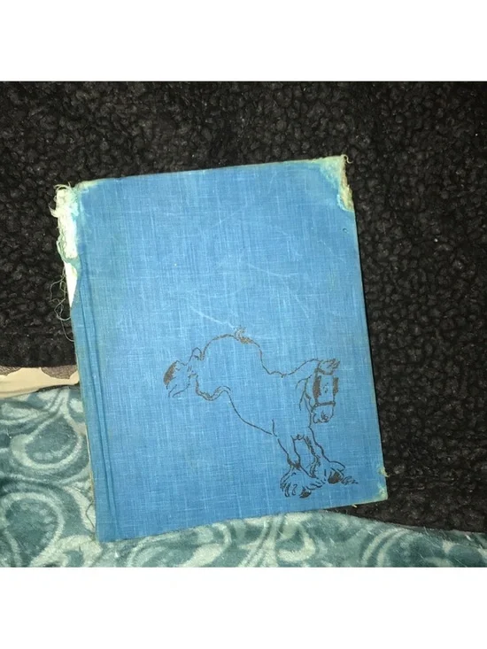 ADOLPHUS the TV horse Blue Hardcover Book 1964 with Horse Illustration by Lois C