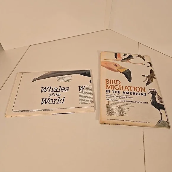 National Geographic Aug 79 Map Bird Migration In The‎ Americas & Whales Of World