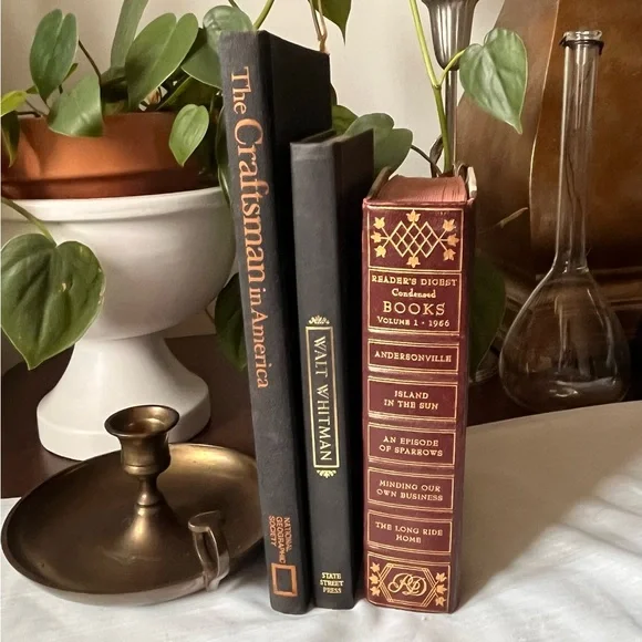 Curated Book Stack Set Decorative Vintage Hardcover Shelf Filler Dark Tones