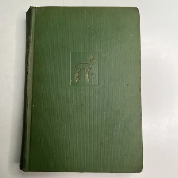 BAMBI A Life in the Woods by Felix Salten First 1st Edition 1929 First Print HC