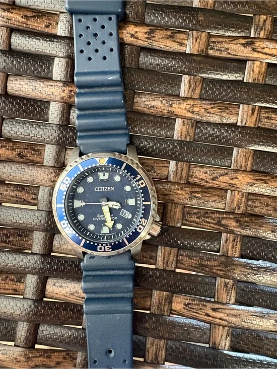 Citizen Promaster Dive Men's Eco Drive Watch
