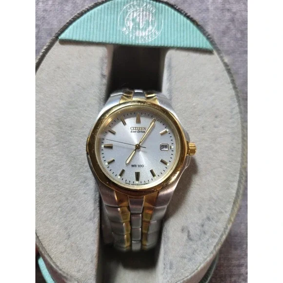 Men's Citizen Eco-Drive WR100 Watch Two Tone Stainless Steel E110-K15699
