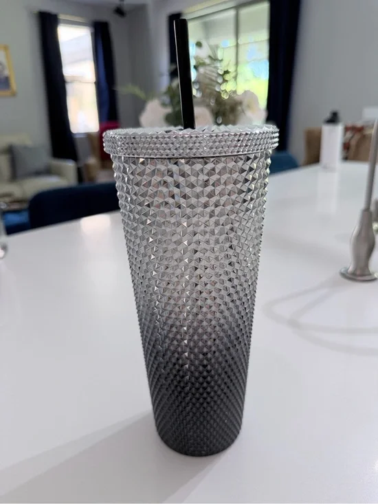 Silver Studded Stainless Tumbler with Straw
