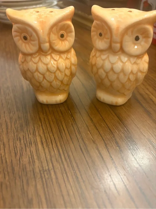 Ceramic Owl Salt and Pepper Shaker Set - Creamy yellowish. Grandmacore.