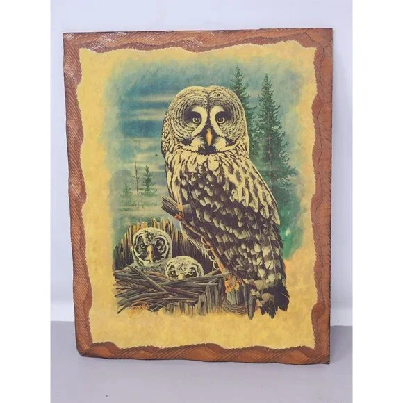 Vintage Great Grey Owl With Owlets Wooden Wall Nature Scene Signed‎ Steve Miller