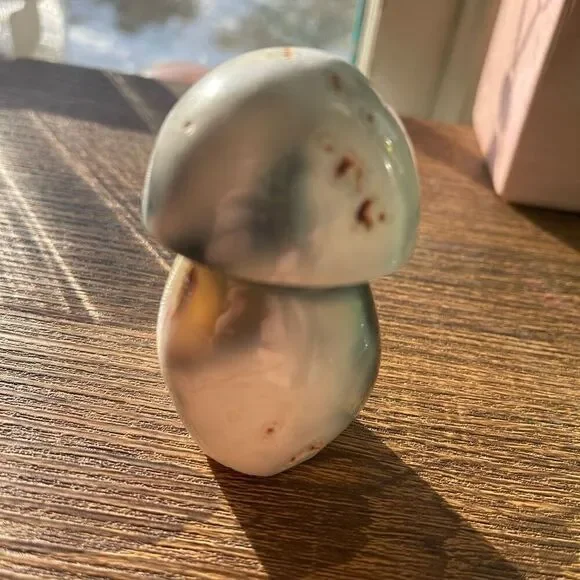 Orca agate mushroom carving crystal druzy black mostly white