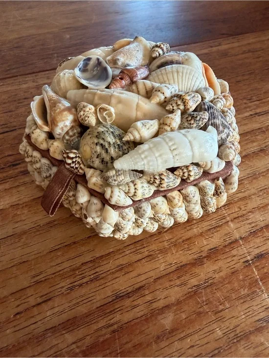 Vintage Source Unknown Seashell Accent Box in Cream and Tan Trinket Box