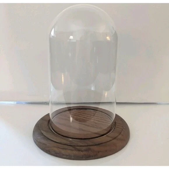 Vintage Glass Dome Display Cloche Bell Jar with Wooden Base 7