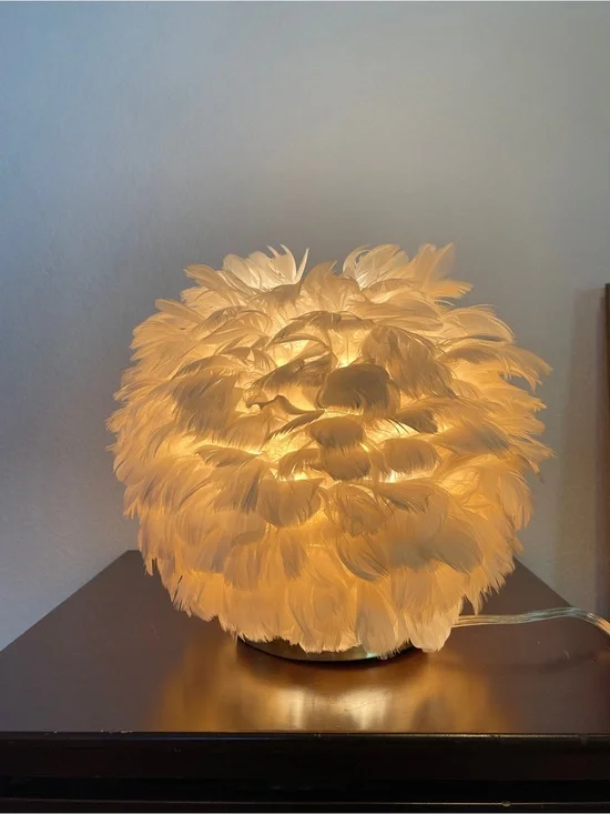 Modern Feather 1-Light Ball-Shaped Table Lamps