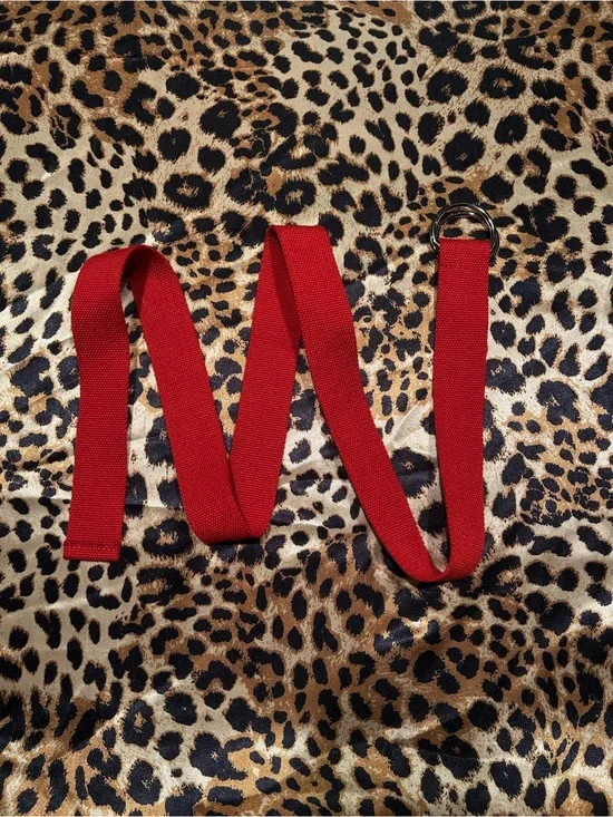 Shein Red Canvas Web Belt with Silver Double D Ring