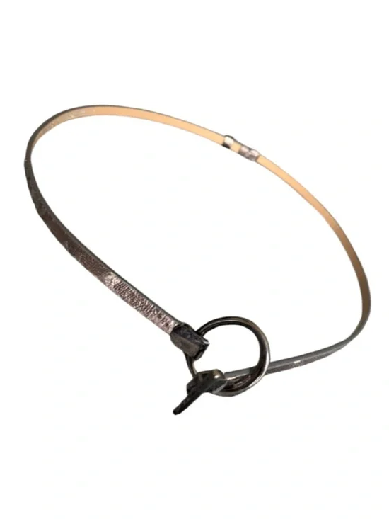 Adjustable Metallic Silver Ring-Loop Skinny Women’s Belt