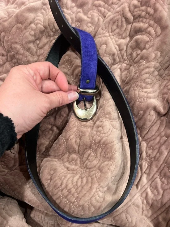 Vintage Purple Suede Belt with Gold-Tone Buckle