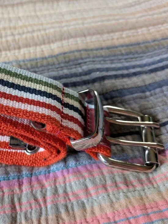 Striped Canvas Double Grommet Belt
