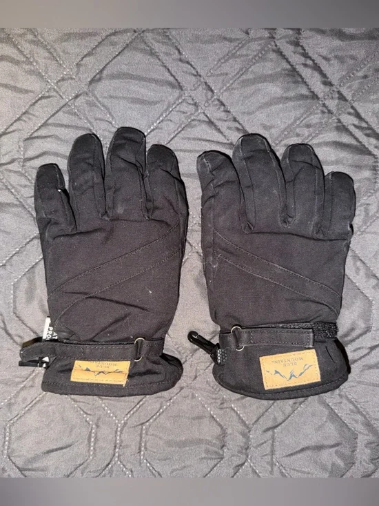 Blue Mountain Kid's Insulated Waterproof 3M gloves Youth Medium/Large
