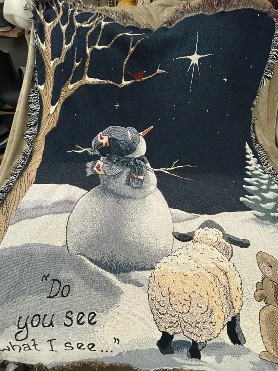 Christmas “Do You See What I See