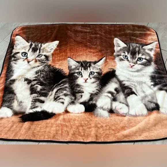Three Cats Kittens‎ Plush Throw Blanket Polyester 50