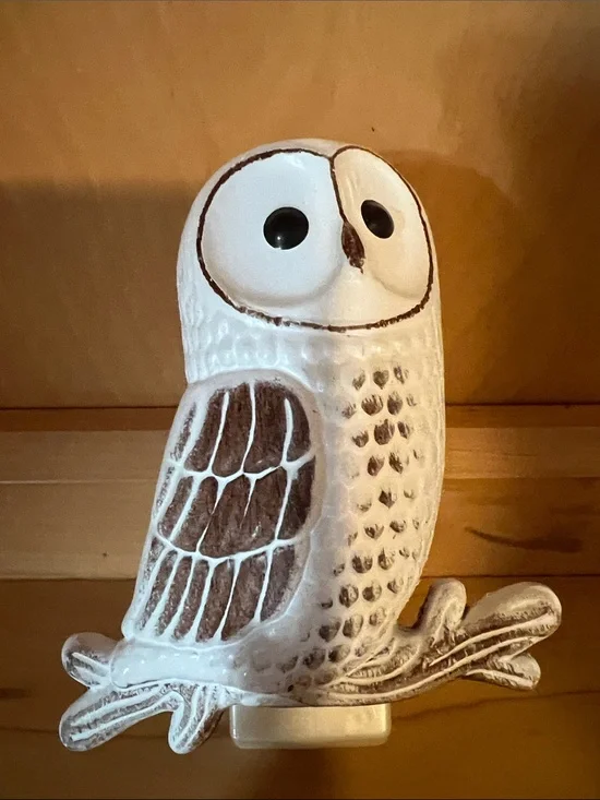 Owl 🦉  Bath and Bodyworks Wallflower Plug in