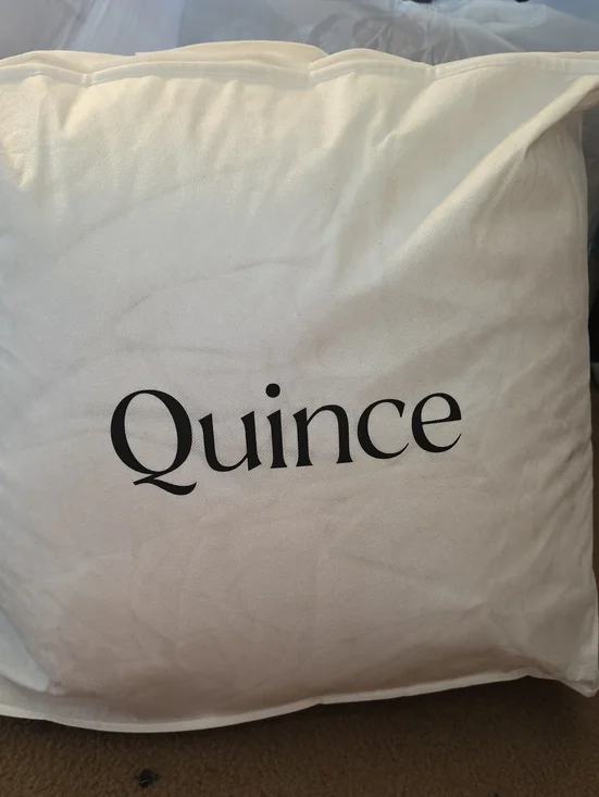 Quince Ultra Warm Premium Down Alternative Duvet Insert - King/Cal
