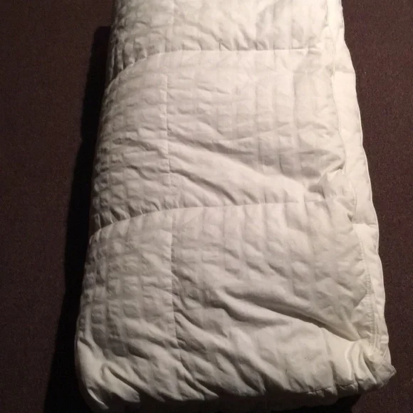 Eddie Bauer down comforter