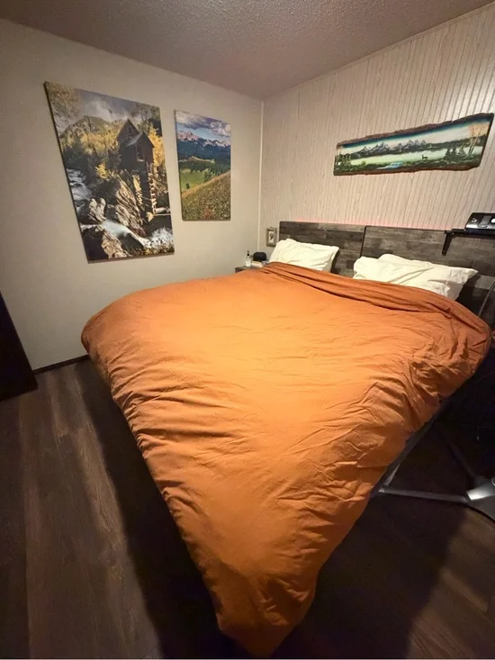 King Size Duvet Cover & Pillow Shams - Burnt Orange