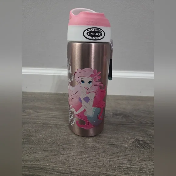 Zak Designs Disney Princess stainless steel water bottle 19oz NWT