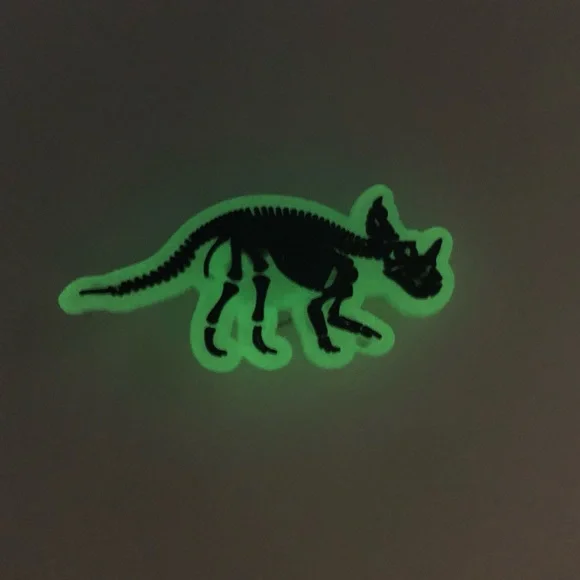 20/$13 Luminous Dinosaur Shoes Charm