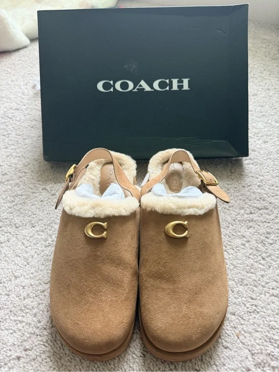 Coach Women's Sculpted C Platform Clogs in Shearling and Suede