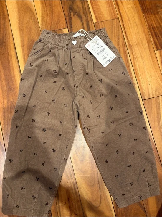 Zara Brown Corduroy Pants with Dark Floral Print