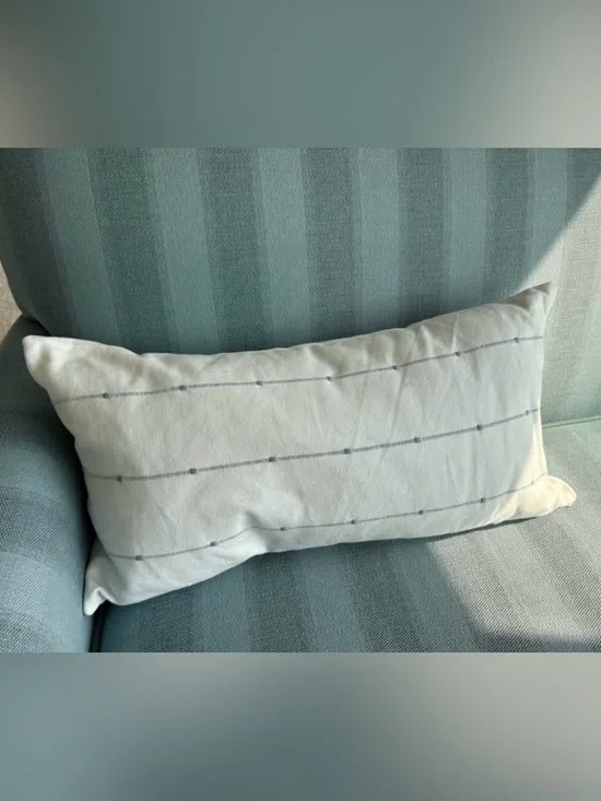 ARCADIA CREAM AND BLUE GREY DECORATIVE THROW PILLOW