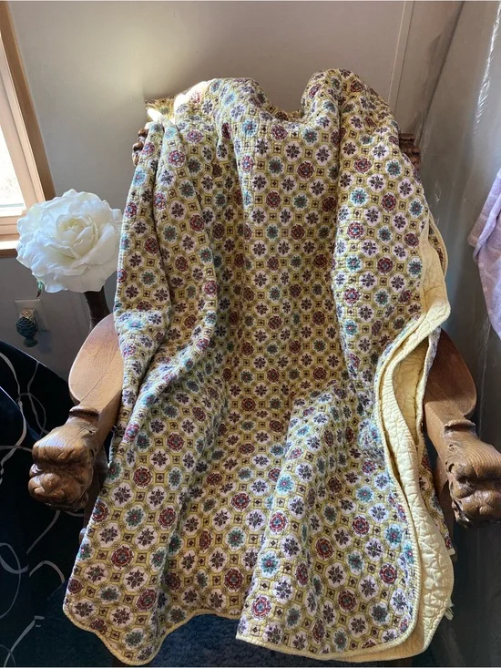 Vintage Olde Kentucky “Cheater Quilt”