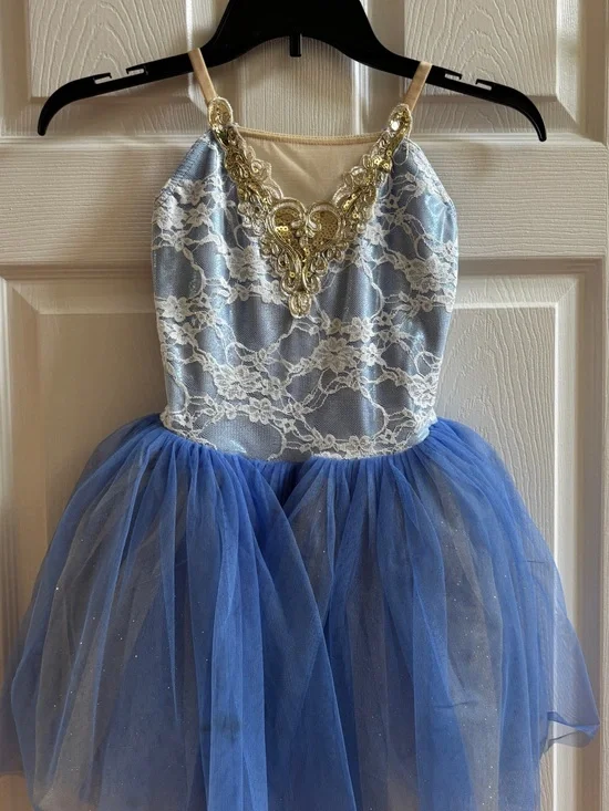 Blue Tulle Lace Dress with Gold Applique