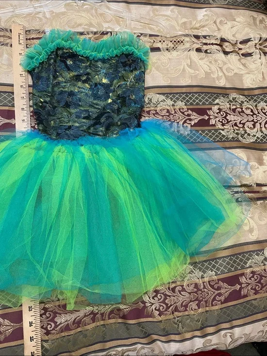 Teal & Lime Tulle Dance Costume Dress - Wolff Fording & Company INT