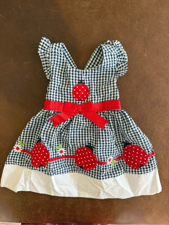 Girls Navy Gingham Red Bow Strawberry Appliqué Dress