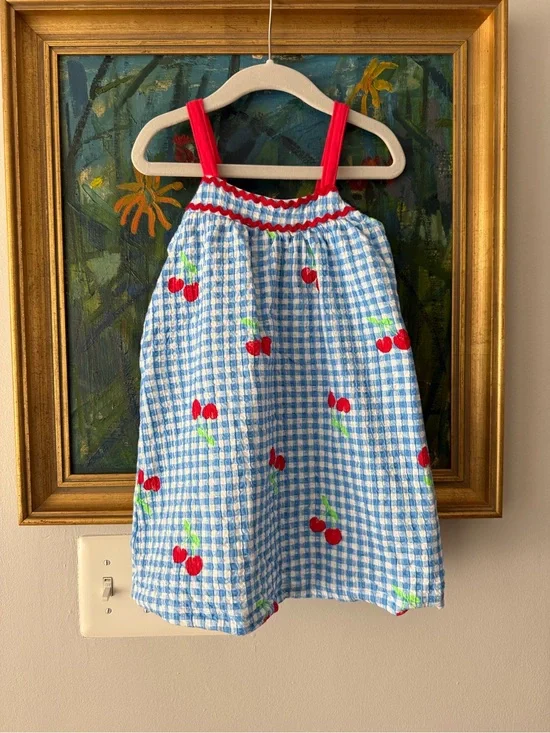 Zara Blue Gingham Dress with Cherry Print