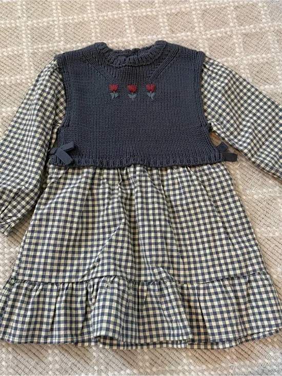 NWOT Zara Navy Knit Vest Over Blue & Cream Gingham Dress